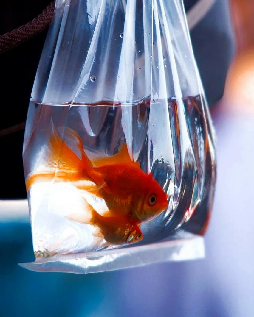 Пакет Зиплок/Гриппер 5*7 см